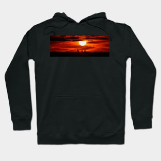 Red Rise Hoodie